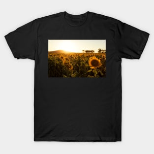 In Golden Fields T-Shirt